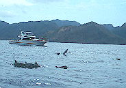 �E�I�b�`���O�{�[�g�ƃC���J