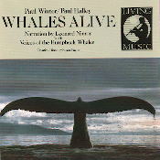 �N�W���݂̂��ƂȔ����ہA�b�c�W���P�b�g