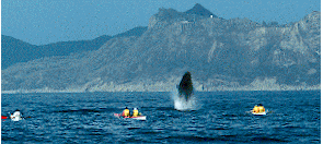 ����u���[�`���O�@33.6����23�b�@���΂炭���҂��������B