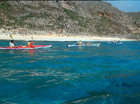 �W�j�|�r�[�`�͋������l