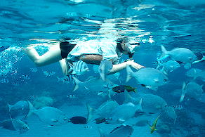 �T�J�i���E�W���E�W��