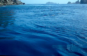 �ڂŌ��Ă킩�钪�̗���