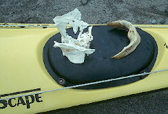 �u�^�C�݂Ō���������